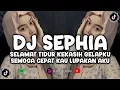 Download Lagu DJ SEPHIA - SHEILA ON 7 || SELAMAT TIDUR KEKASIH GELAPKU - SEMOGA CEPAT KAU LUPAKAN AKU - HANSKY RMX