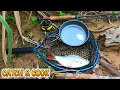 Lagu Cara Setup Pancing Fly Untuk Pemula | Fly Fishing Malaysia (Catch and Cook)