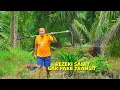 Download Lagu Mengolah Brondolan Sawit | JEJAK SI GUNDUL (13/07/25)