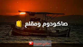 ستوريات واتساب 2021 روعة شحال صعيب الوداع وانت معنق الميمة 