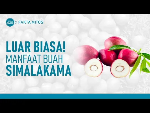 Buah Simalakama Beneran Ada! Kenali Manfaat Mahkota Dewa