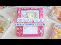 Modded 3DS Collection Tour in 2024 50 Cute NICHE Games for 3DS