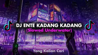 dj istilah kata ente kadang kadang slowed underwater 