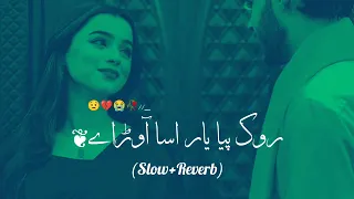 rok piya yar assa awarna slow reverb song 2024 nesbo lal new song 2024