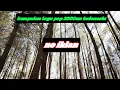 Download Lagu Kumpulan lagu pop hits 2000 an Indonesia 