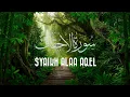 Lagu 046 SURAT AL–AHQAF | SYAIKH ALAA AQEL