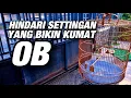 Lagu HINDARI SETTINGAN YANG BIKIN KUMAT LAGI OB NYA