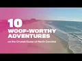 10 Dog-Friendly Adventures on the Crystal Coast of North Carolina