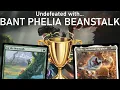 WE RE SO BACK Legacy Bant Phelia Beanstalk MTG 5-0 Trophy