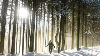 Getting Lost in the Alps (switzerland)