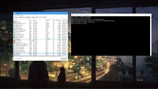 Hiding from Windows Task Manager