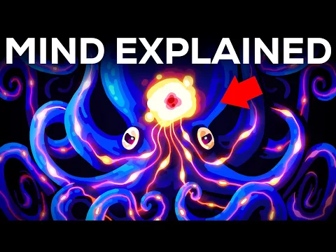 Let’s Explore Your Most Secret Place: Your Mind
