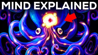 Our Minds Are Weirder than You Think