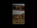 2005 Cougar High Country 5th wheel