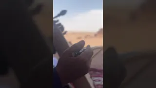 ١٦ أبريل ٢٠٢٥  ١٦ أبريل ٢٠٢٥