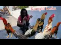 Download Lagu Bikin ngiler !! Pasar pedan banyak yang hadir superan bosku komplit