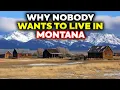 Download Lagu Why Nobody Lives in Montana
