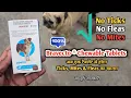 Bravecto For Dogs Ticks Fleas Mites Bravecto powerful tablet
