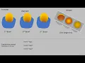 PYTHON by YH - Lesson 1 Variables versus Arrays