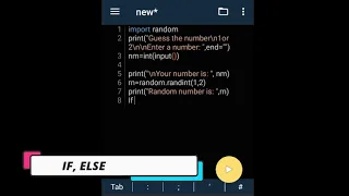 Basic Python Programming Print Input Random Number If else and While