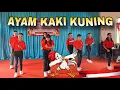Download Lagu AYAM KAKI KUNING ❗️dance kelas 11 b