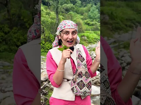 आओ कभी पहाड़ों में 🌸🌿