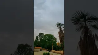 الفنان محمد الريان أجمل حبيب للروح في رائعه زيدان إبراهيم 