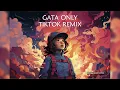Download Lagu GATA ONLY - TIKTOK REMIX (Best part looped)