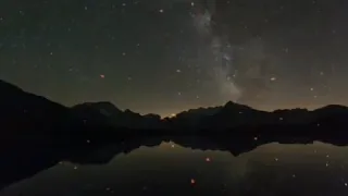 عبد الحليم حافظ على قد الشوق حالات واتس دندنها