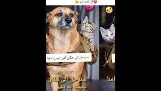 الوادع يا بشر صلوا على رسول الله الشعب الصيني ماله حلال Comedy اكسبلور Funny Trendingshorts ا 