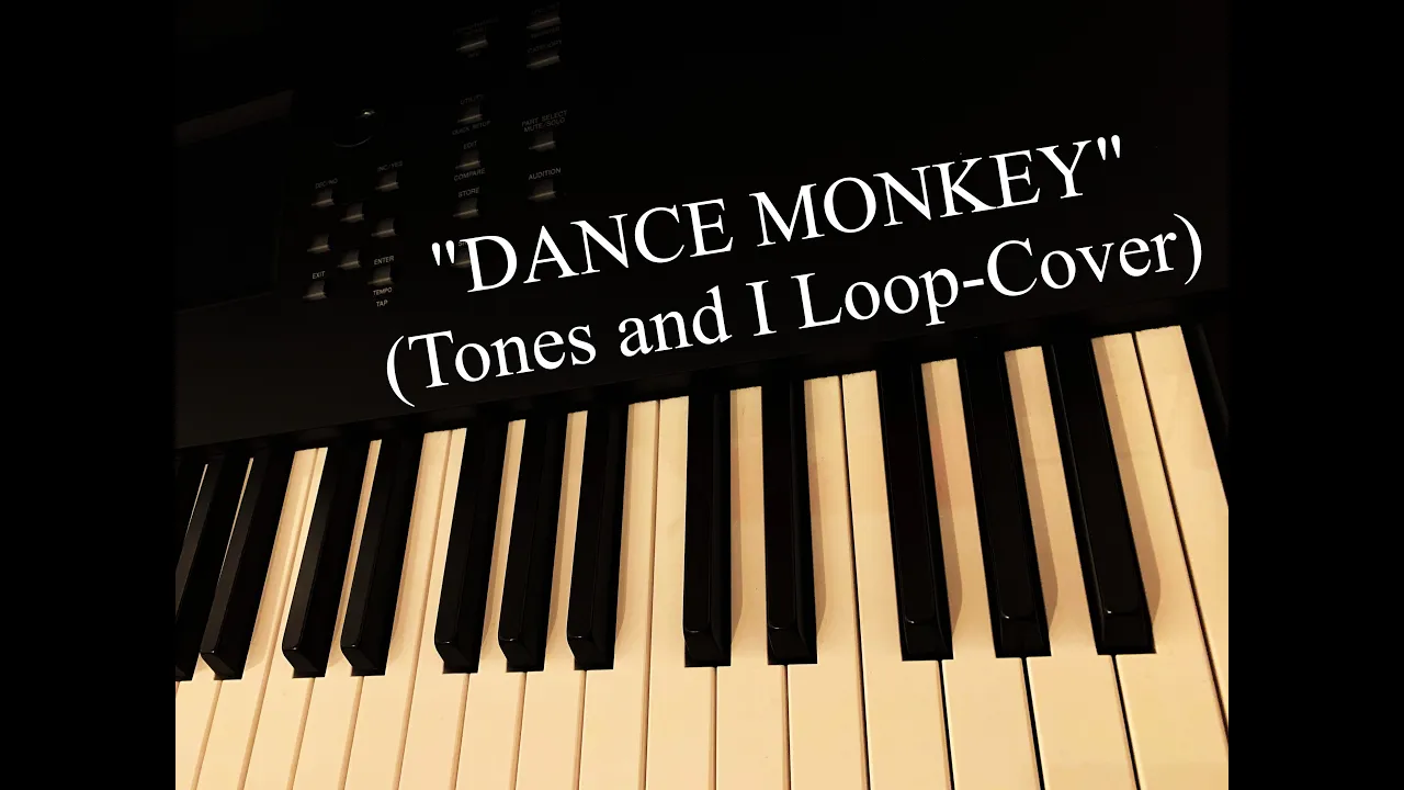 Pascal Vogt - "Dance Monkey" (TONES AND I LOOP COVER) Pascal Vogt - "Dance Monkey" (TONES AND I LOOP COVER)