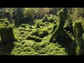 Download Lagu Kudzu in Kentucky (Eastern Kentucky Region) | Kentucky Life | KET