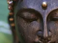 Jaya satria.wmv