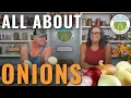 The Best Onion To Plant For Your Location