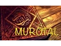 Download Lagu Ust. Amru Abu Syamil, S. Ag | Surah Al Hadid