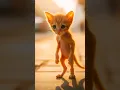 Download Lagu Meow meow sad song, poor skinny cat story 💪🐱 Cat Who Transformed at the Gym