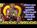 Download Lagu பச்சமல பவள மலையில் குறத்தியாக ஆவேச நடனம் ஆடிவரும் அங்காளியின் பாடல் | SakthiShanmugaraja | Pachamala