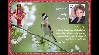 سوري خواننده مولود زهتاب خواندن نخست 