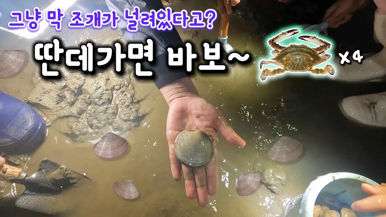 변산 고사포 해수욕장 야간 해루질, 해루질 포인트, 조개밭, 꽃게까지~? サムネイル