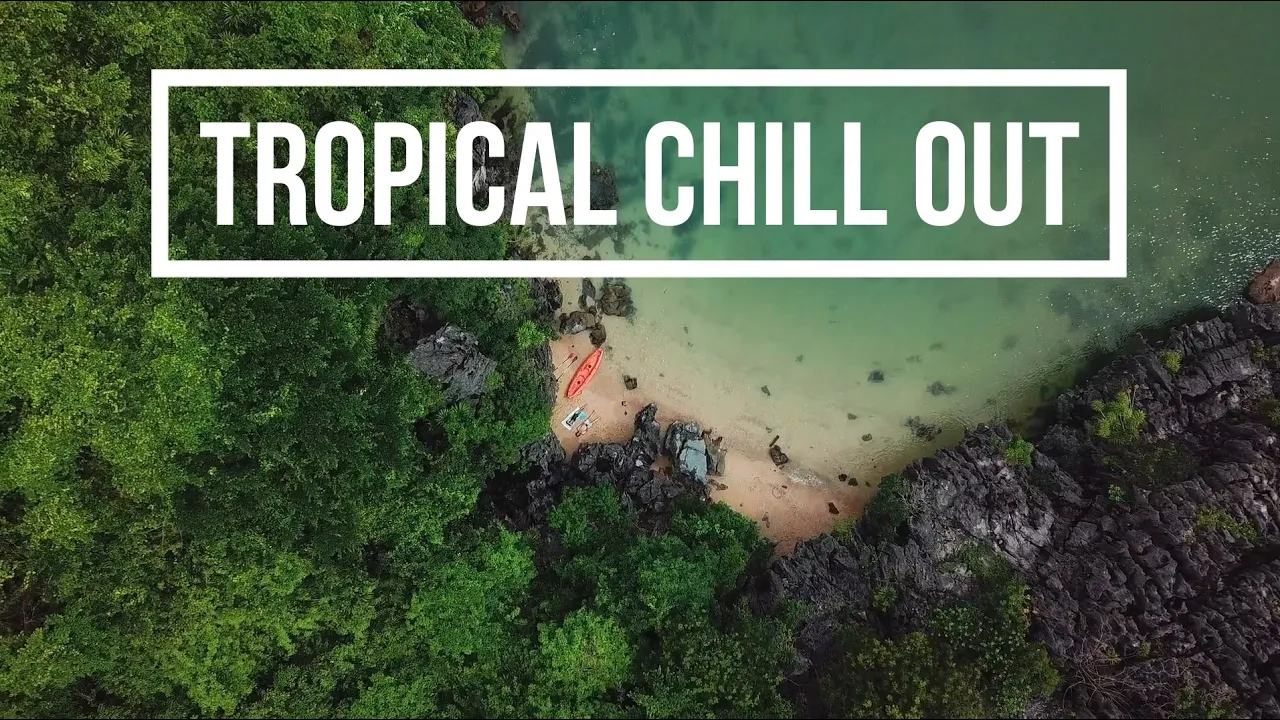 🔊Tropical Chill Out - Beach Party Sunset Relax, Concentrate Motivation, Playa Fiesta Energía Feliz