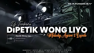 dj terbaru dipetik wong liyo x melody ayam dan lapeh bangsay x irpan disjockey