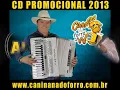 Caninana Do Forro - Tudo Virou Saudade