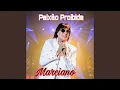 Download Lagu Paixão Proibida