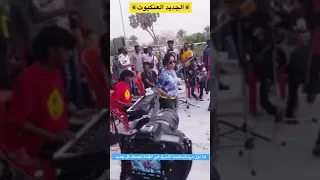 نون العنكبوت مستر محمد 