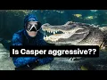 Is Casper aggressive