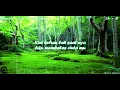 Download Lagu Karaoke Lirik Edcoustic - Nantikan Ku Dibatas Waktu (Minus One/Instrument) Video Lirik Male Version