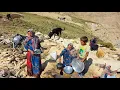 Download Lagu Nomadisch leven: | Nomadische ochtendroutines 🐑 | Nomadisch leven van dappere vrouwen 🌿