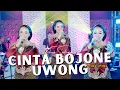 Download Lagu Niken Salindry - Cinta Bojone Uwong HE HE HA HA - Iming Iming (Official Music Video ANEKA SAFARI)