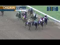 Oaklawn Park February 6 2026 The 59th Running of SOUTHWEST STAKES