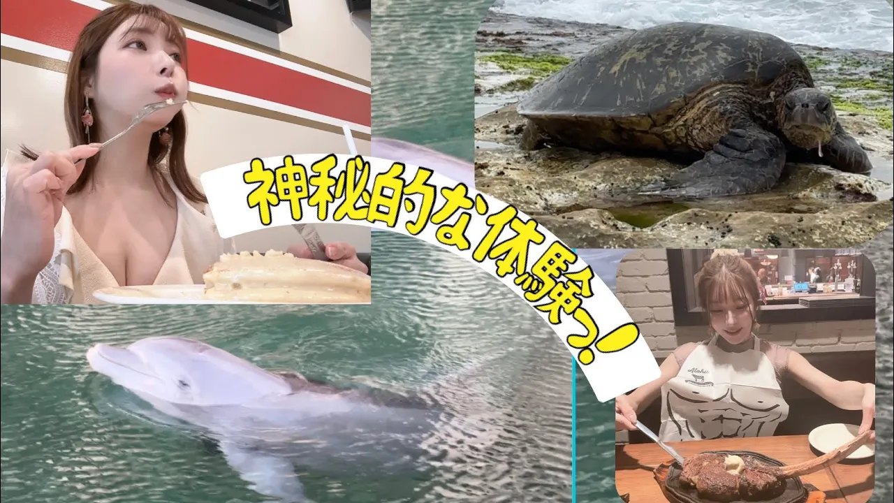 ハワイで野生の動物を探していたら幸運のウミガメや二重の虹、そしてとんでもないスポットを見つけてしまった!